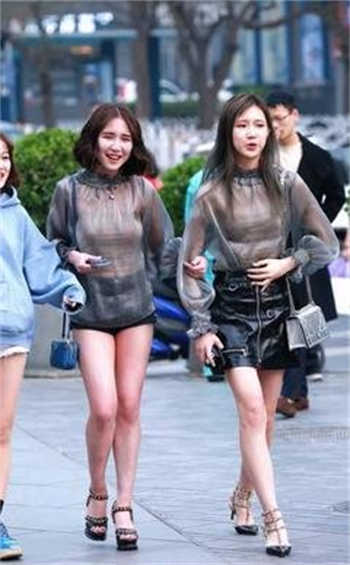 dx大象回家网址