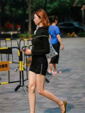 所有雌性都是我的安卓下载