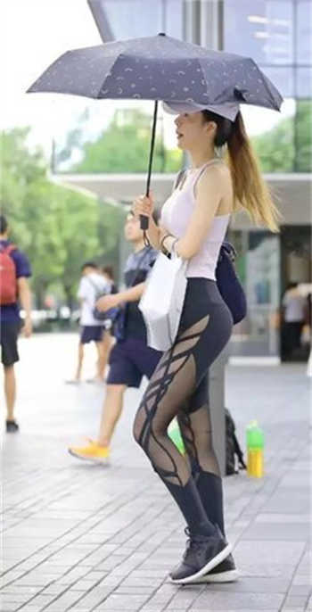 恃宠谢砚礼秦梵免费阅读