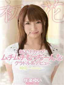 sw493磁力